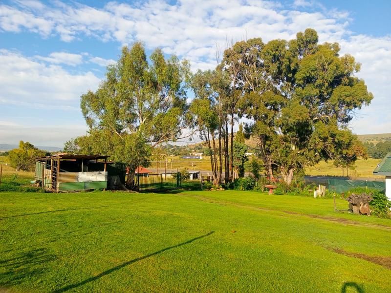 0 Bedroom Property for Sale in Kestell Free State